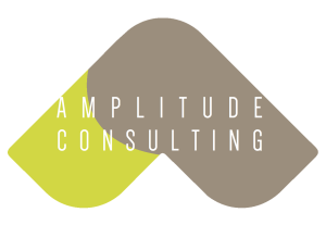 Amplitude Consulting