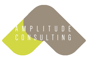 amplitude consulting strengthsfinder singapore strengthsfinder asia coach consultants coaching mentoring leadership strengths based leadership personal branding